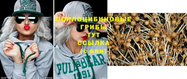 мет Балахна