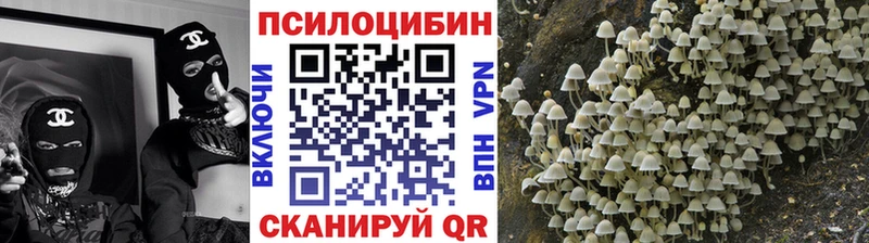 Галлюциногенные грибы GOLDEN TEACHER Купить Димитровград
